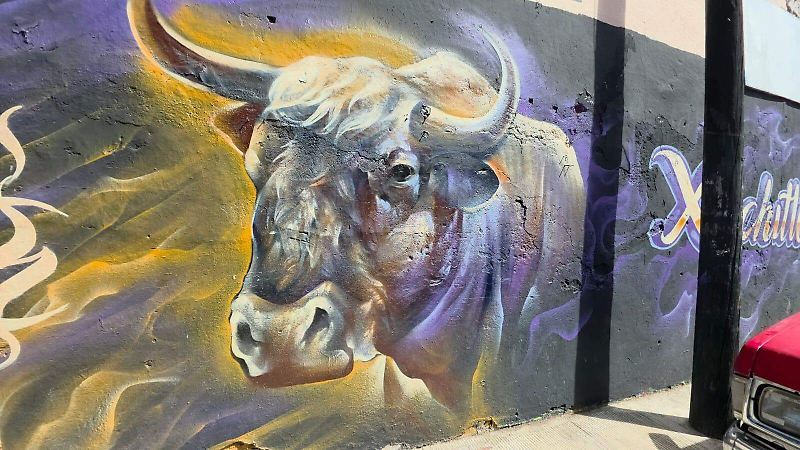 Xochitlán, Yecapixtla (3)